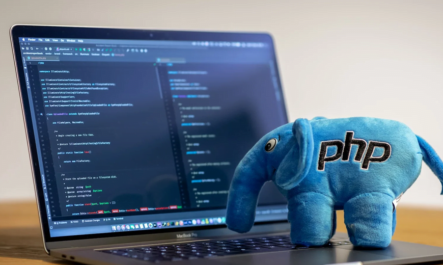 PHP Website Development Services India