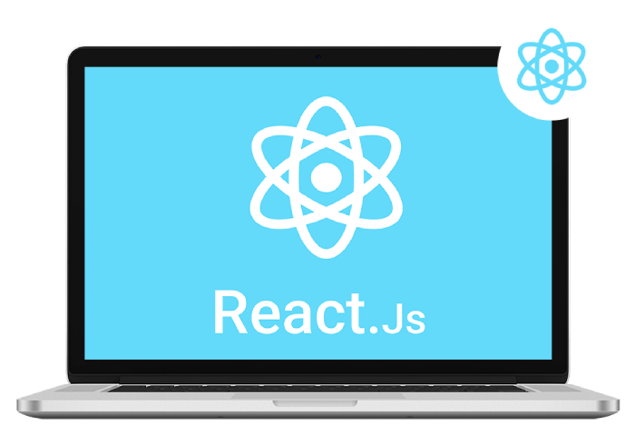ReactJS Development Services India