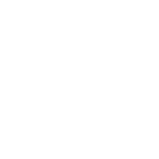 Custom App Development